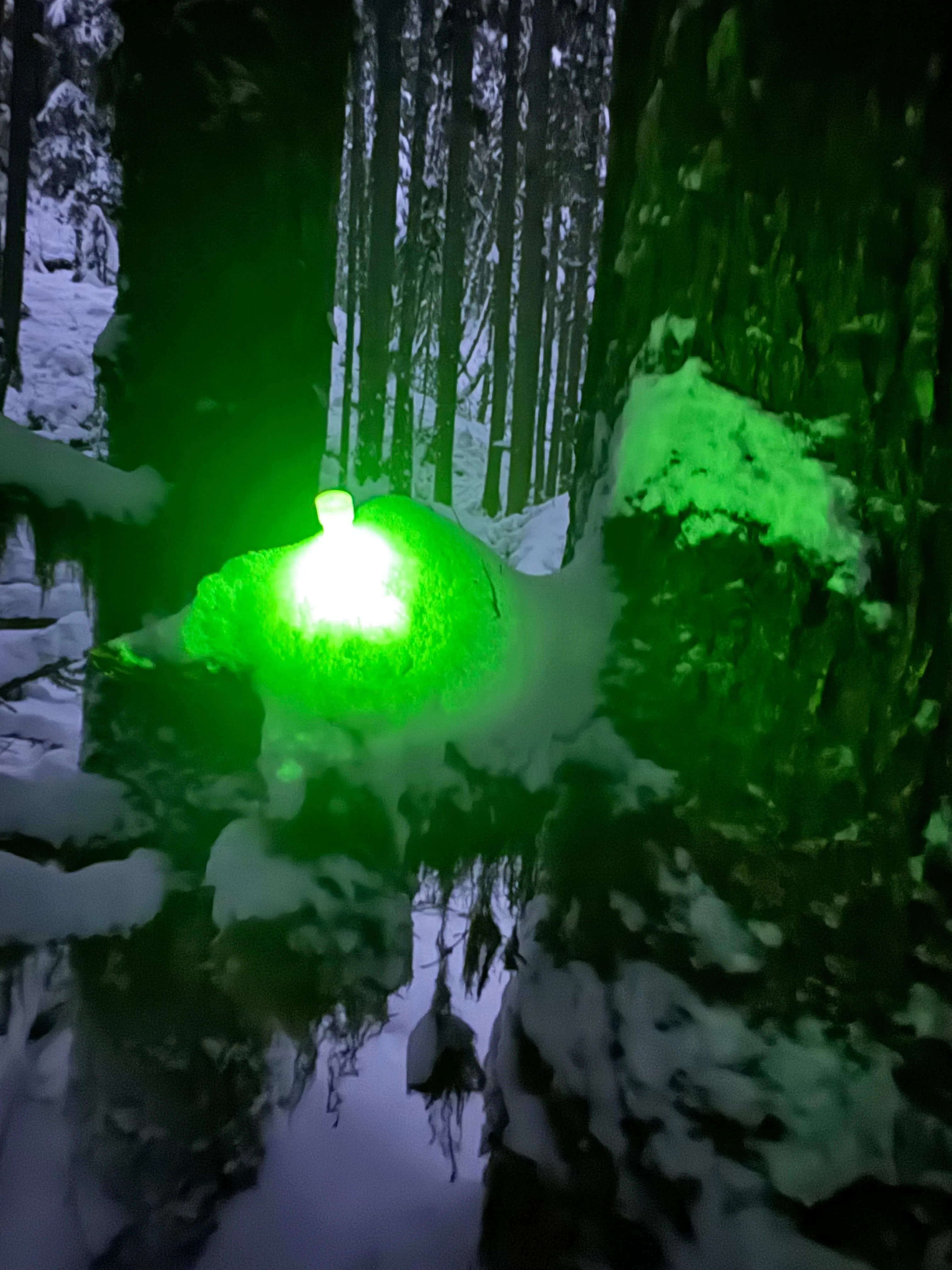 4” chemlights “party glow sticks” 24hour chems.
