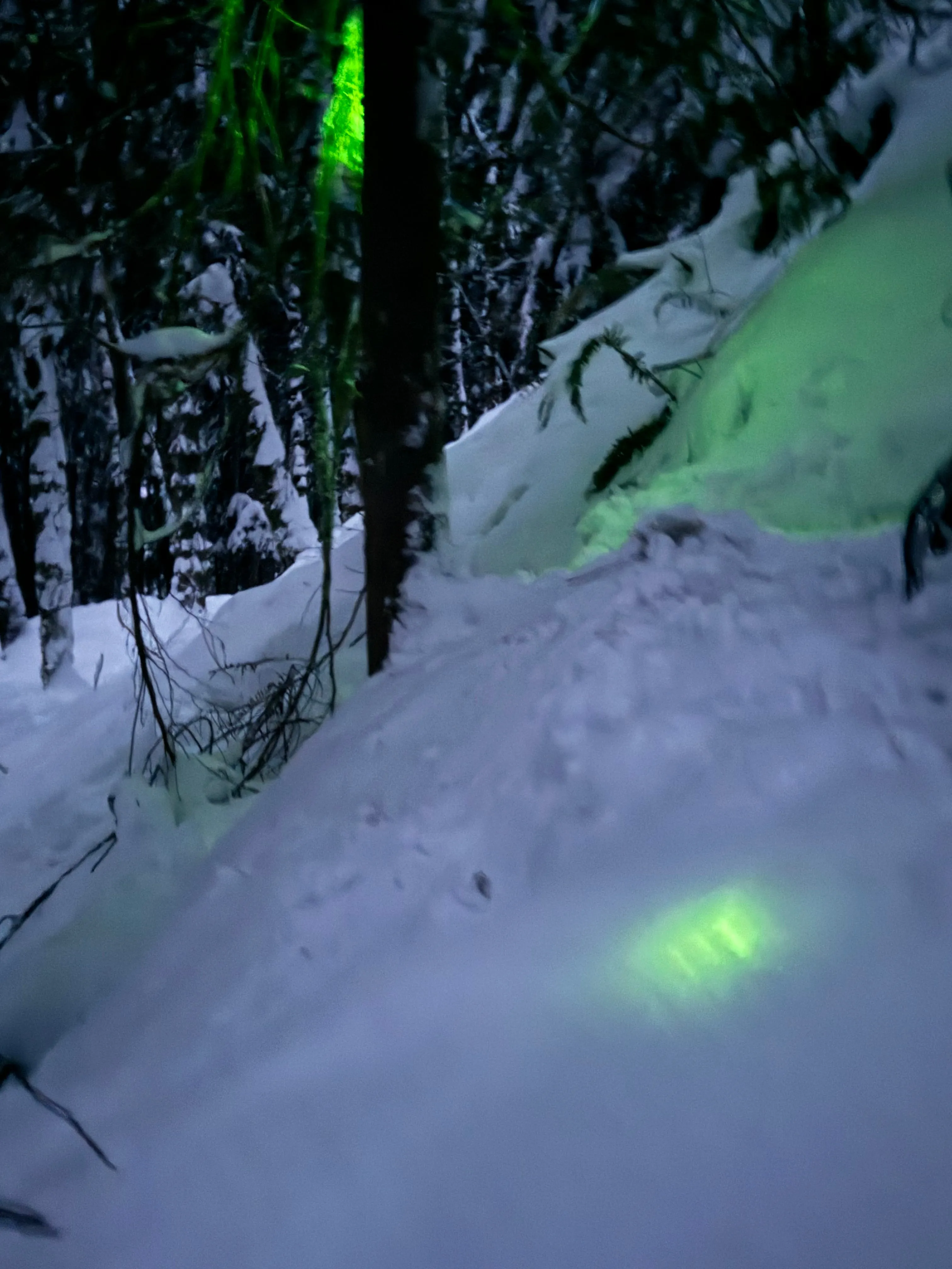 4” chemlights “party glow sticks” 24hour chems.