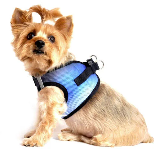 American River Ombre Harness — Midnight Sky