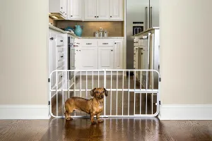 Carlson Pet Products 0618DS Mini Tuffy Metal Expandable Pet Gate, White!