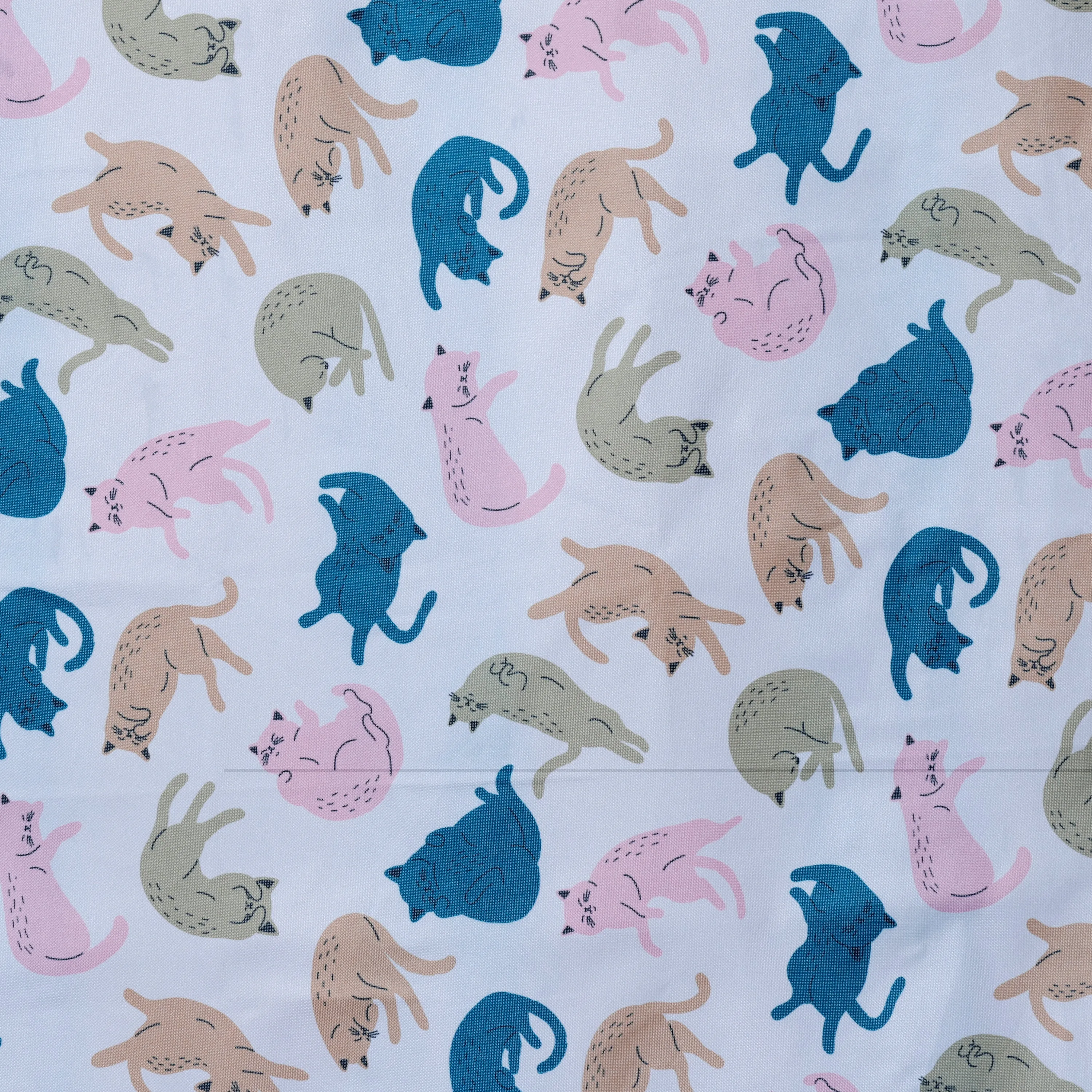 Cat's Life Picnic Blanket