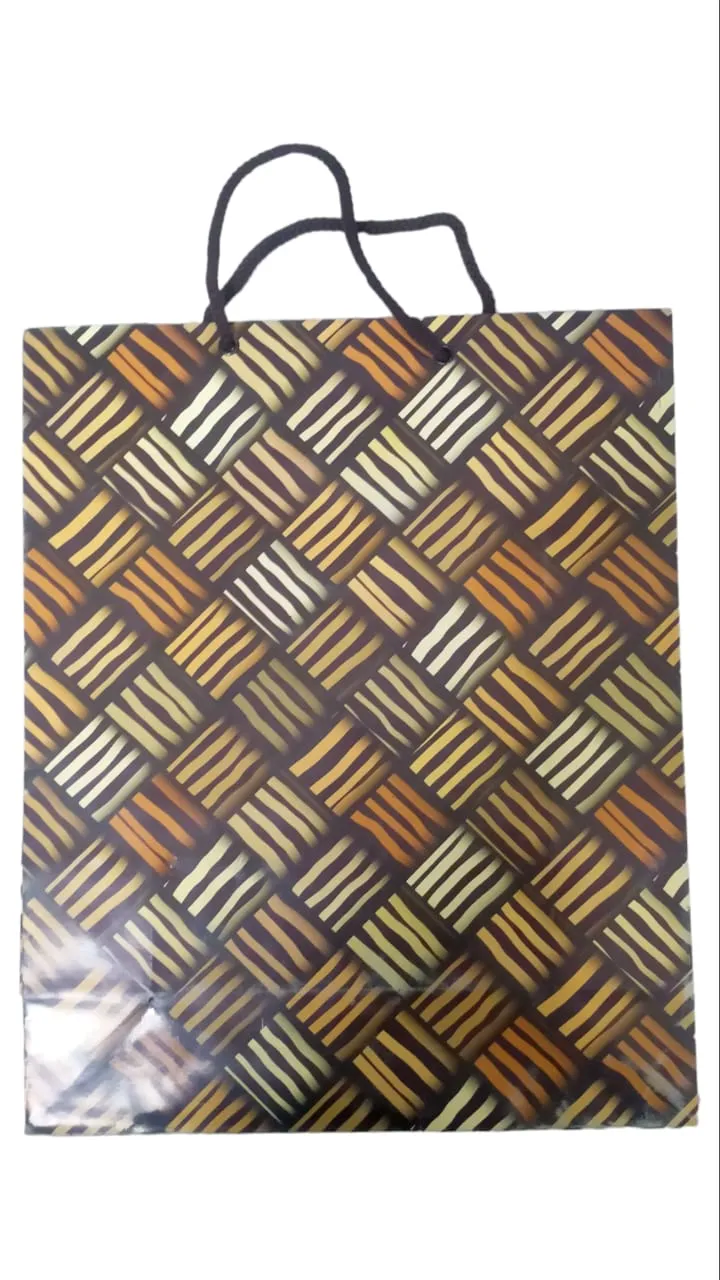 DIGISMART* Paper Bags for Return Gifts - Paper Gift Bag - Medium Carry Bags for Gifting - Paper Bags - Medium Paper Bags -Goodie Bags with Tissue and Thank You Card - Gift Covers