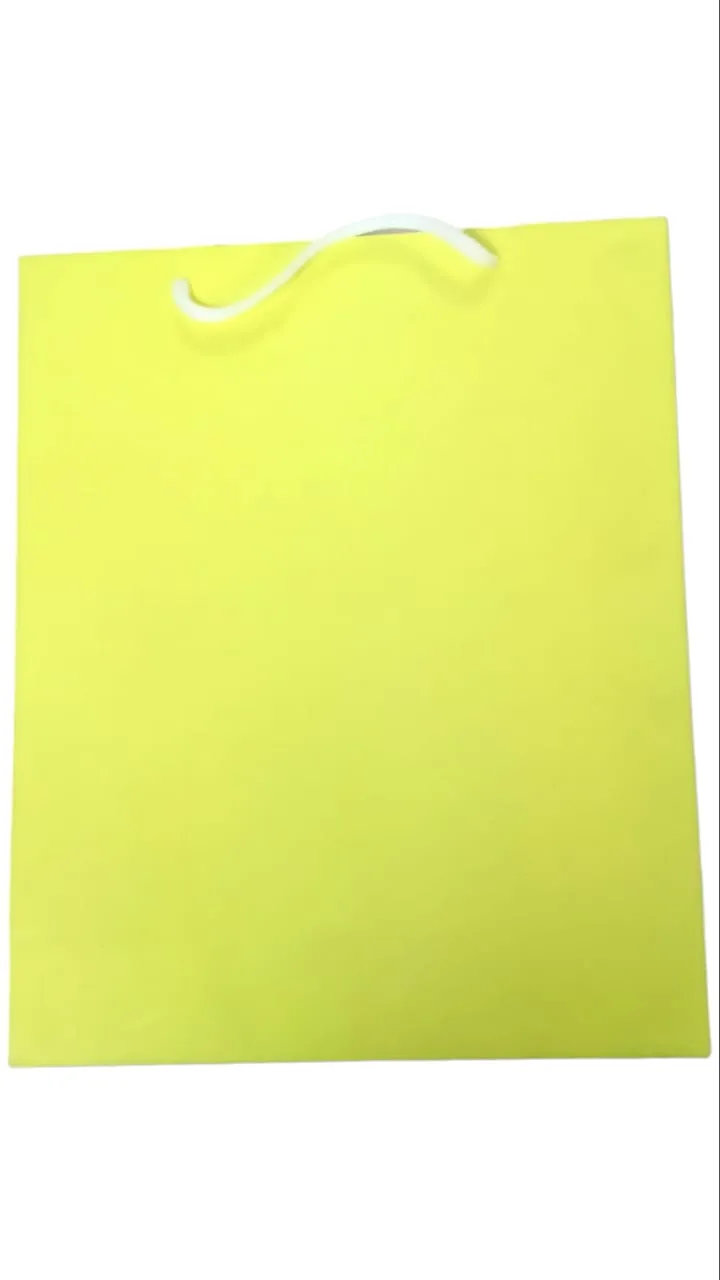 DIGISMART* Paper Bags for Return Gifts - Paper Gift Bag - Medium Carry Bags for Gifting - Paper Bags - Medium Paper Bags -Goodie Bags with Tissue and Thank You Card - Gift Covers