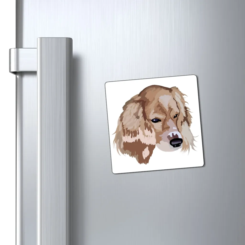 Droopy Magnet