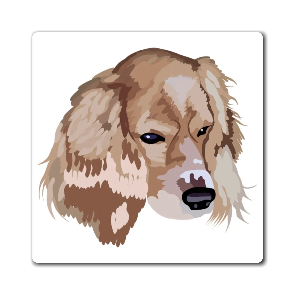 Droopy Magnet