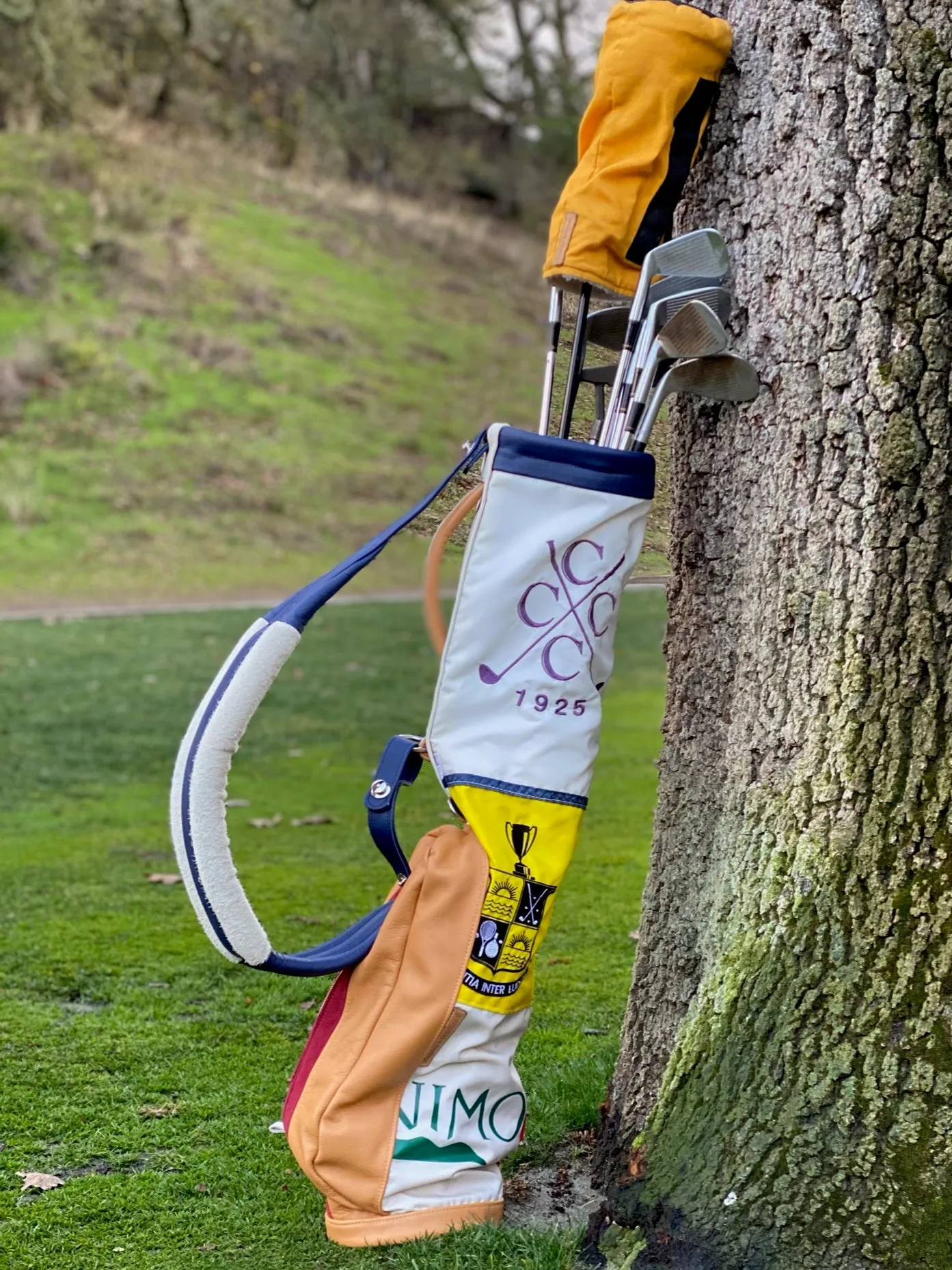 FlagBag Golf Bag (Custom Test)
