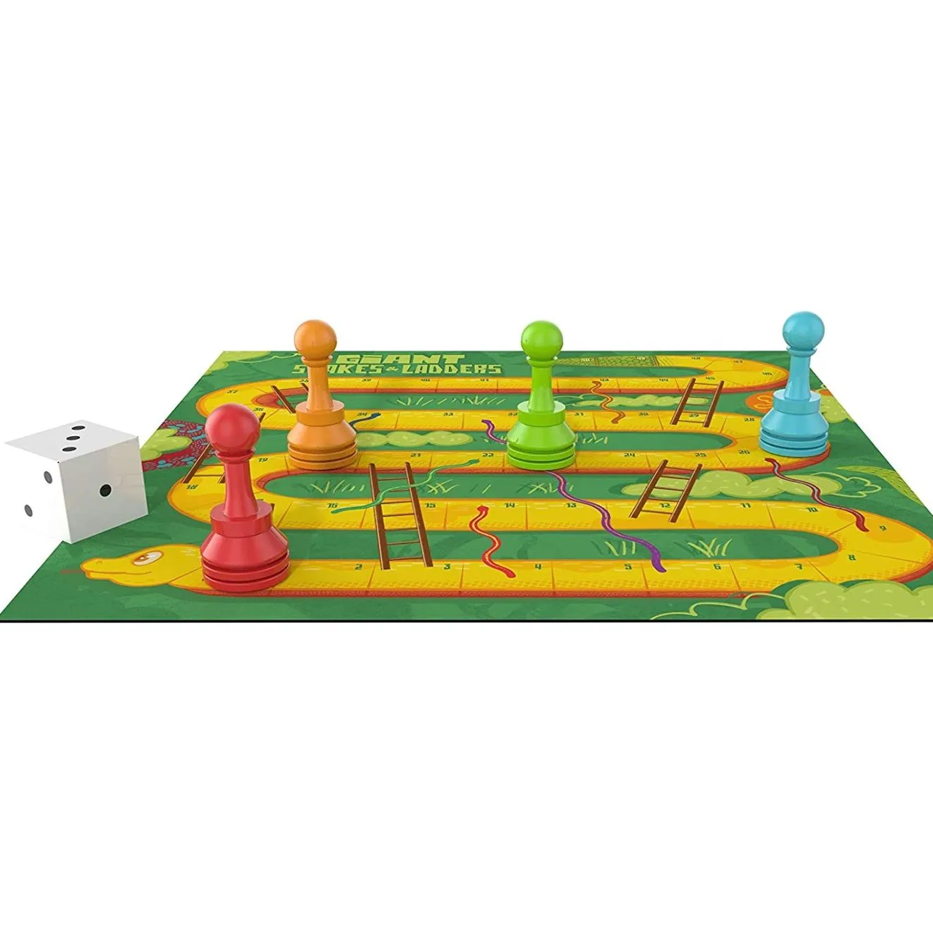 Giant Snakes and Ladders Game