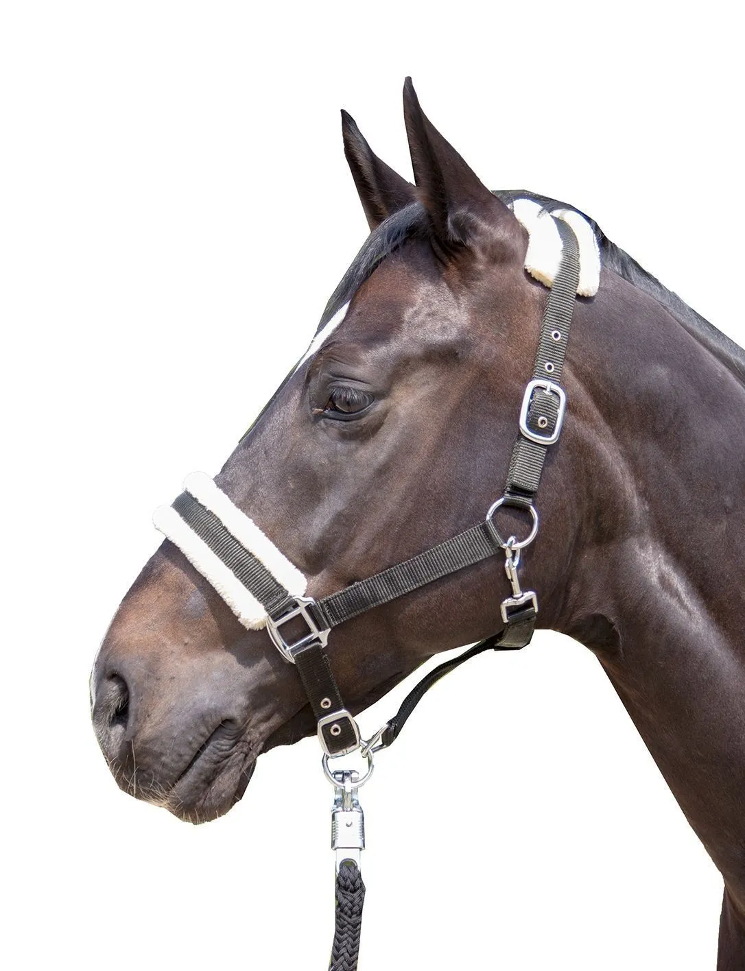 HKM Head Collar Bischofshofen With Plush Padding