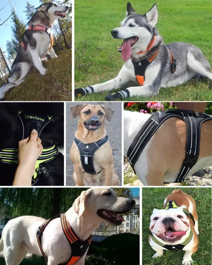 Large Dog Harness | XL Sizes Available