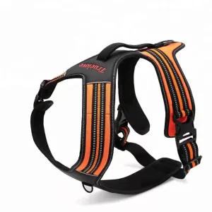 Large Dog Harness | XL Sizes Available