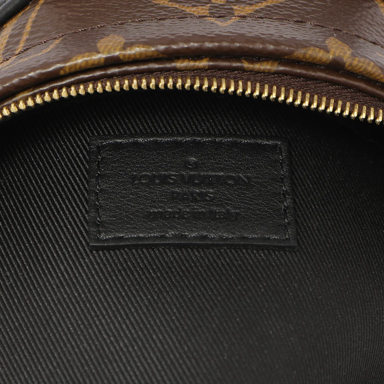 Louis Vuitton Monogram Palm Springs Backpack Mini
