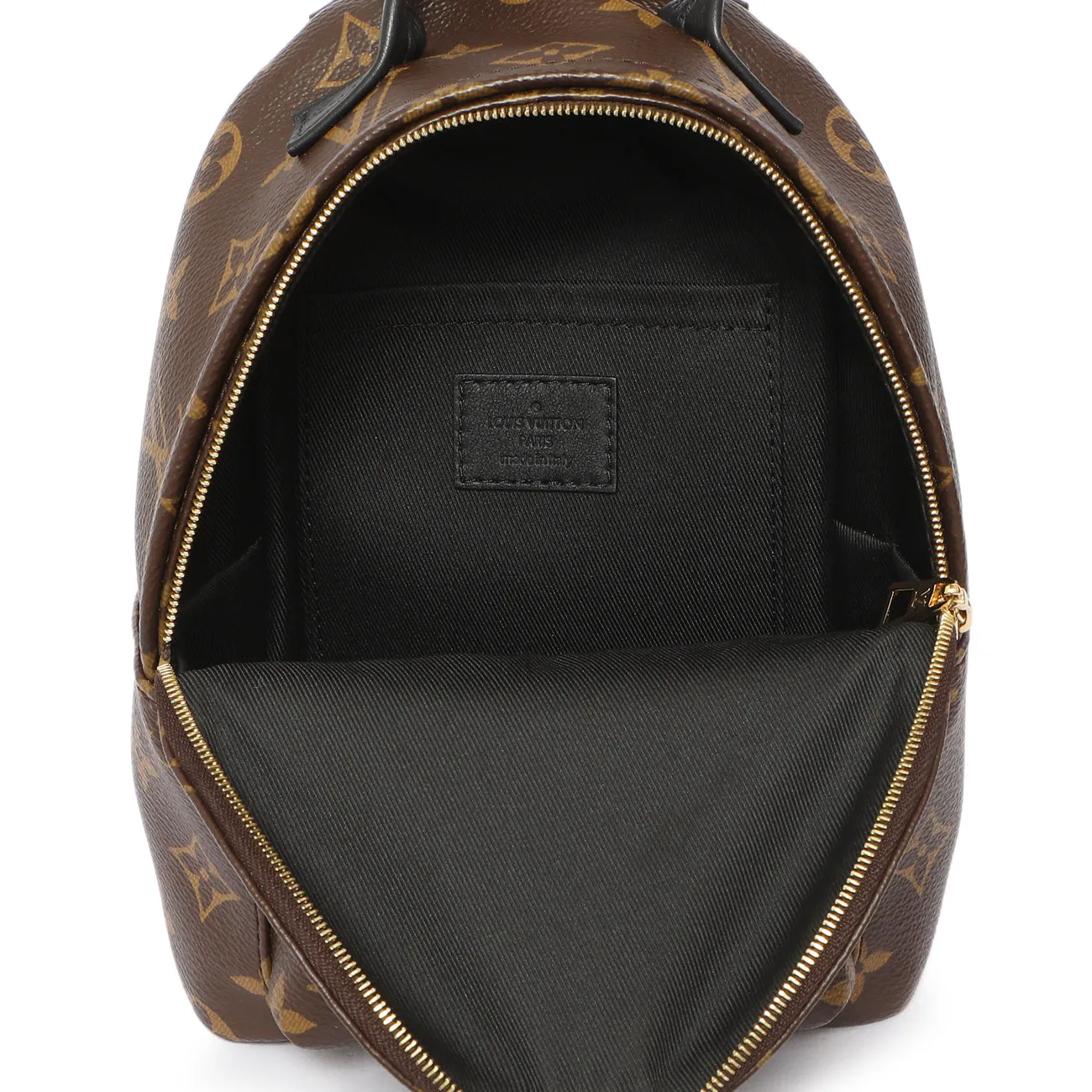 Louis Vuitton Monogram Palm Springs Backpack Mini