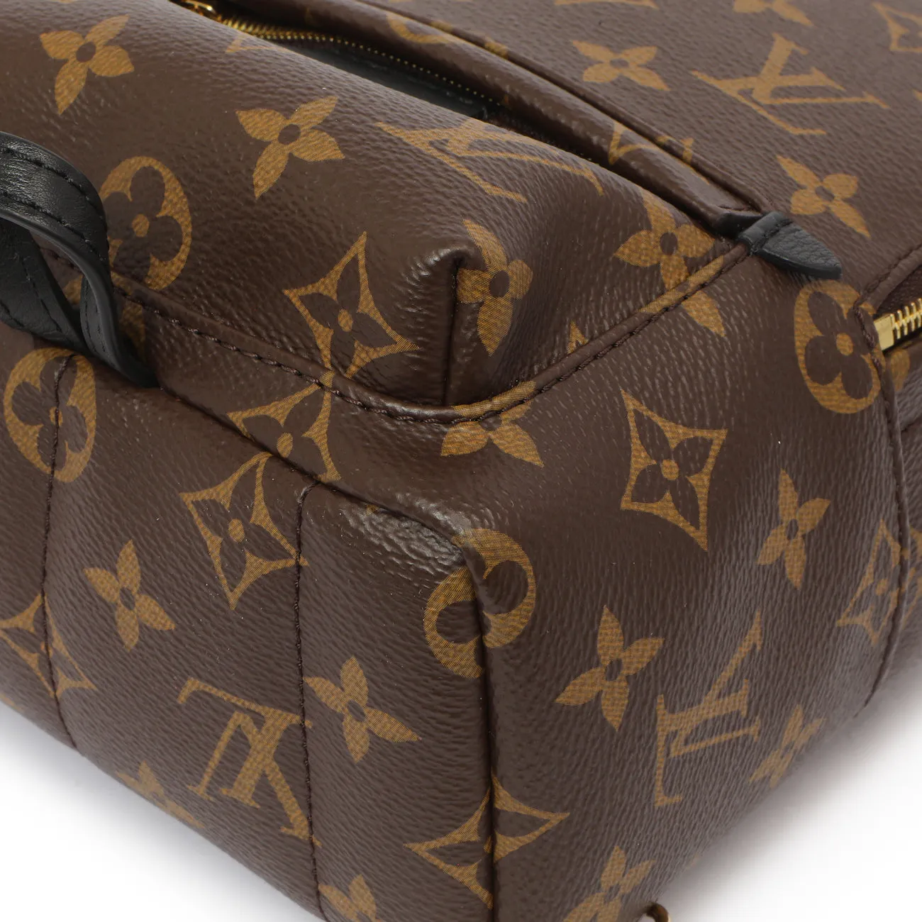 Louis Vuitton Monogram Palm Springs Backpack Mini