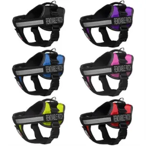 Neoprene Padded Service Dog Vest