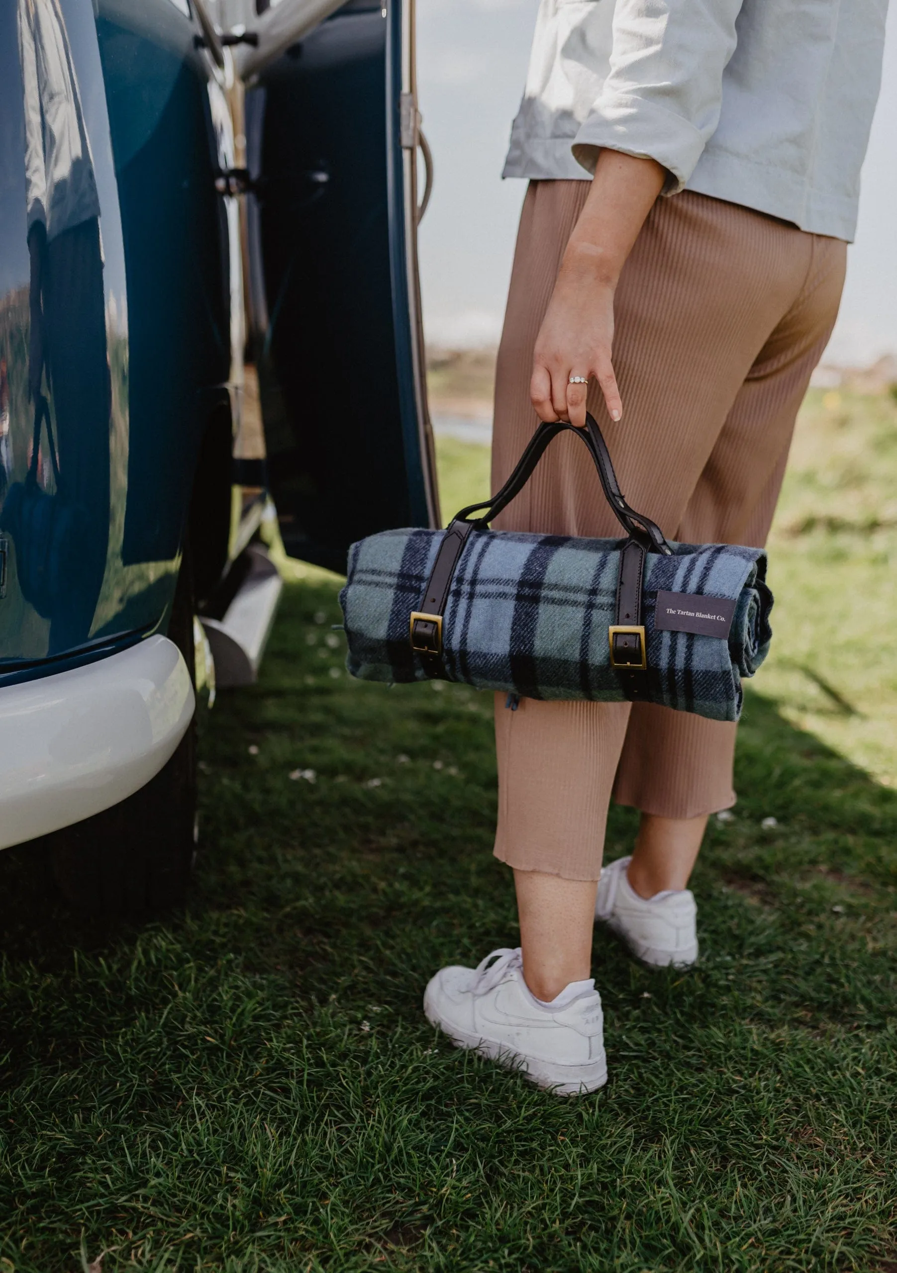 Picnic Carrier