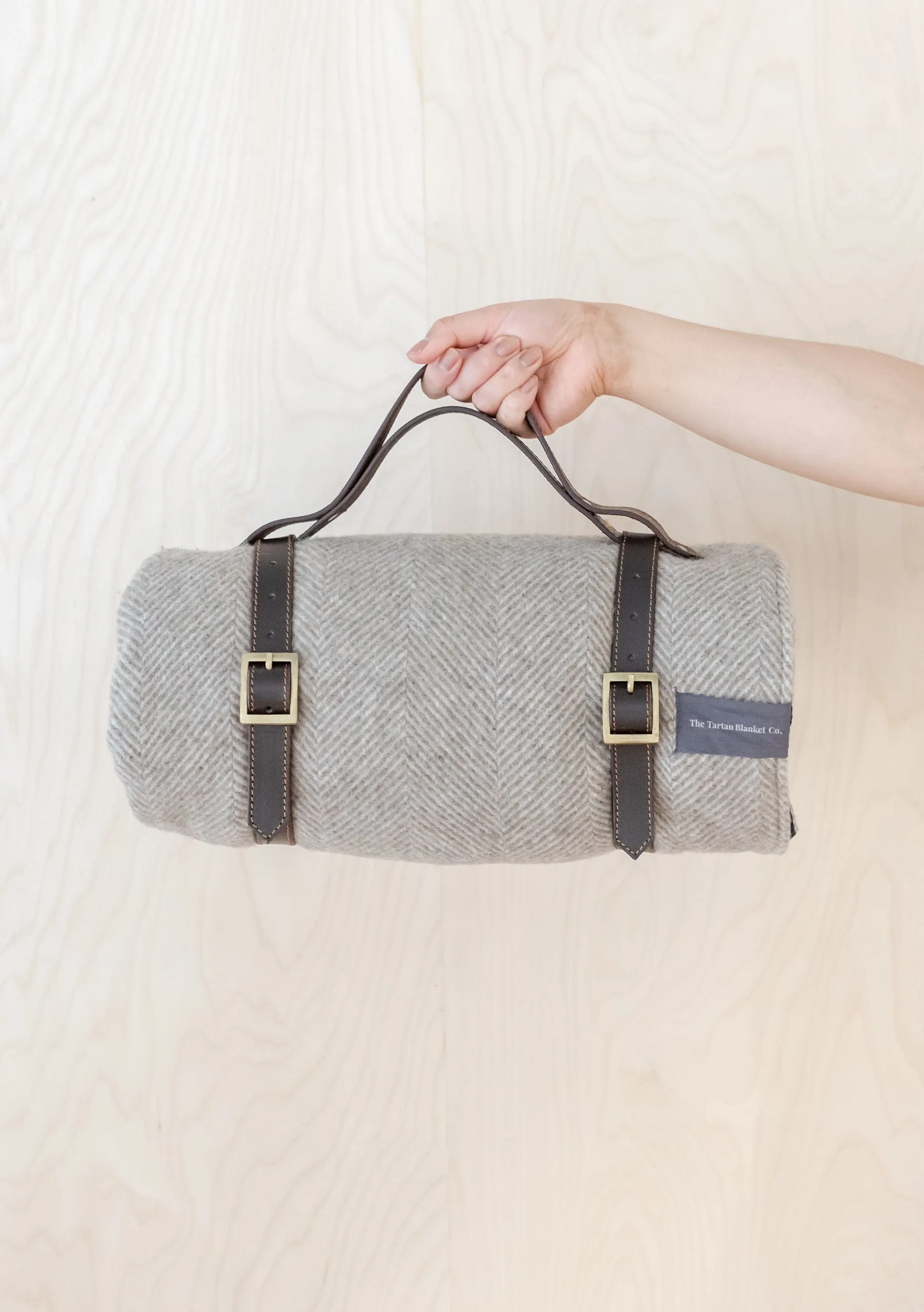 Picnic Carrier