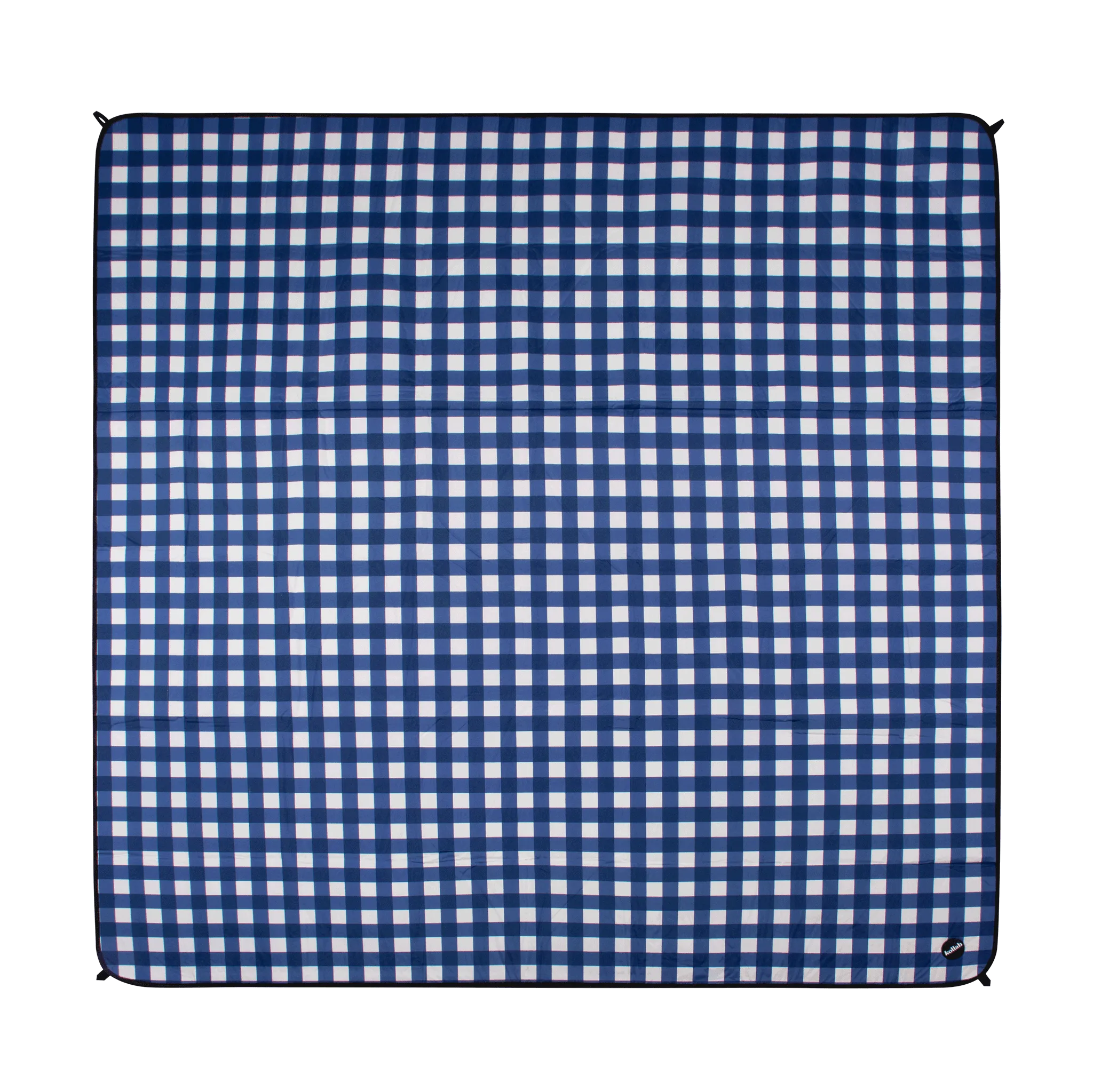 Picnic Mat Blue Check