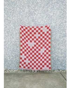 Pink and Red Checker Woven Blanket