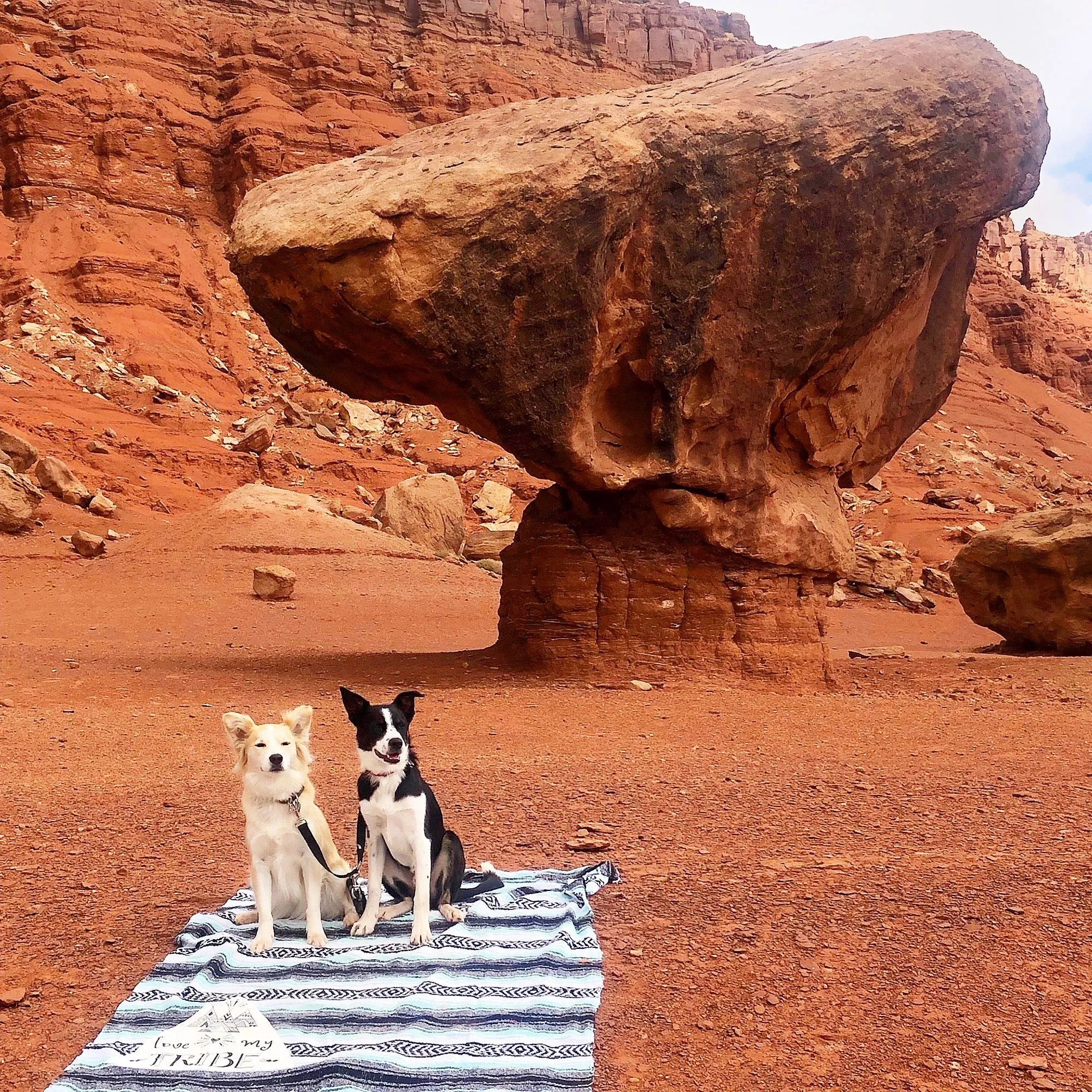 "Love My Tribe" - Mint Throw - Falza Mexican Blanket - Wholesale