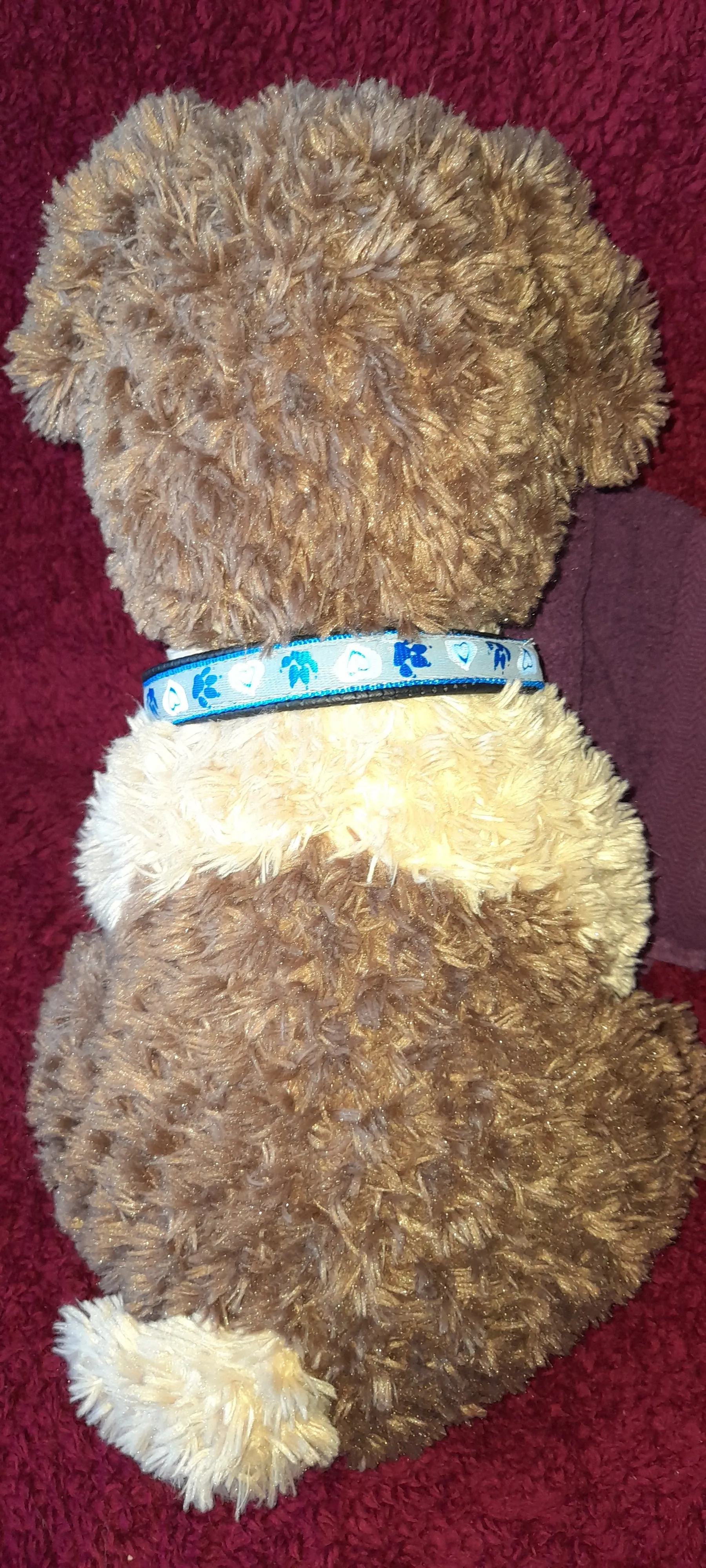 Reflective paw/heart dog collar pet accessories