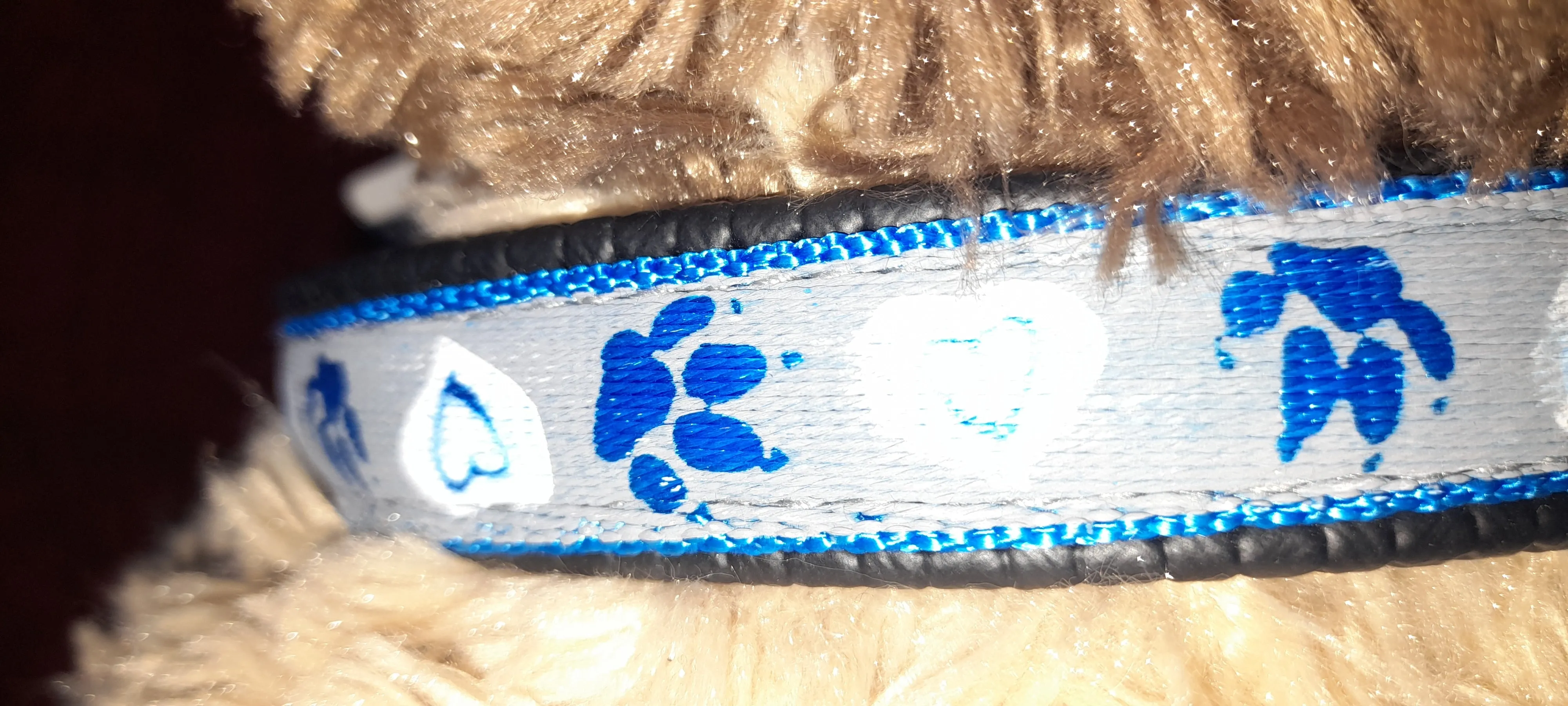 Reflective paw/heart dog collar pet accessories