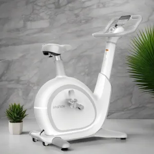 S1 UPRIGHT BLUETOOTH BIKE