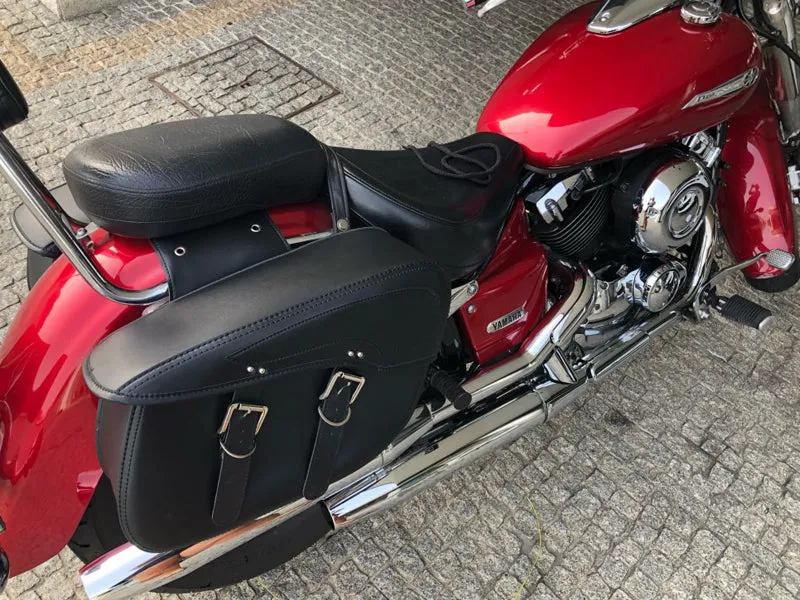 Saddlebag for Harley