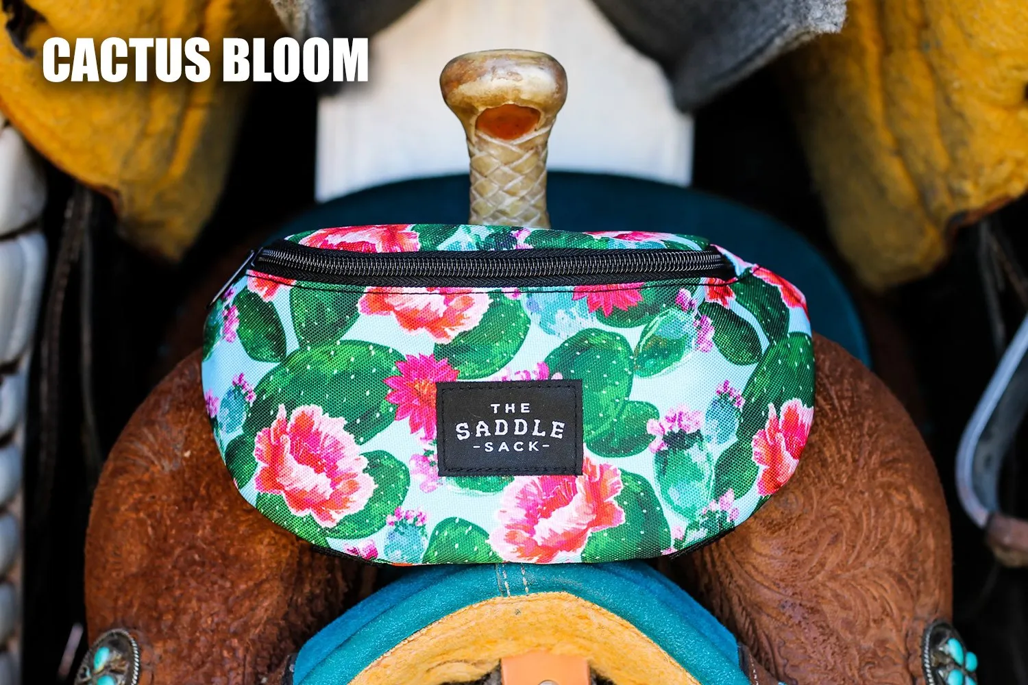 The Saddle Sack