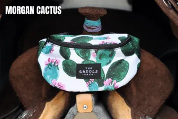 The Saddle Sack