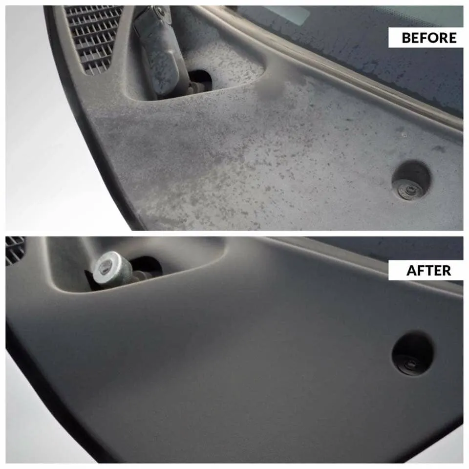 TRIM RENEW BLACK TRIM RESTORER
