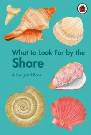 What to look for by the shore