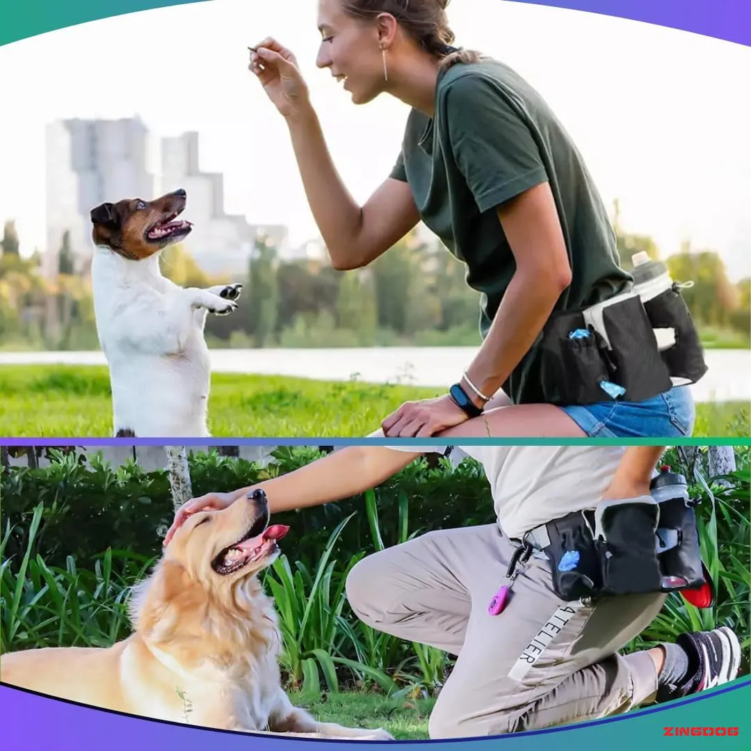 ZINGDOG Hands-Free Dual Dog Leash with Waist Pouch for Running, Walking & Hiking